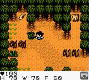 Surival Kids GBC game screenshot